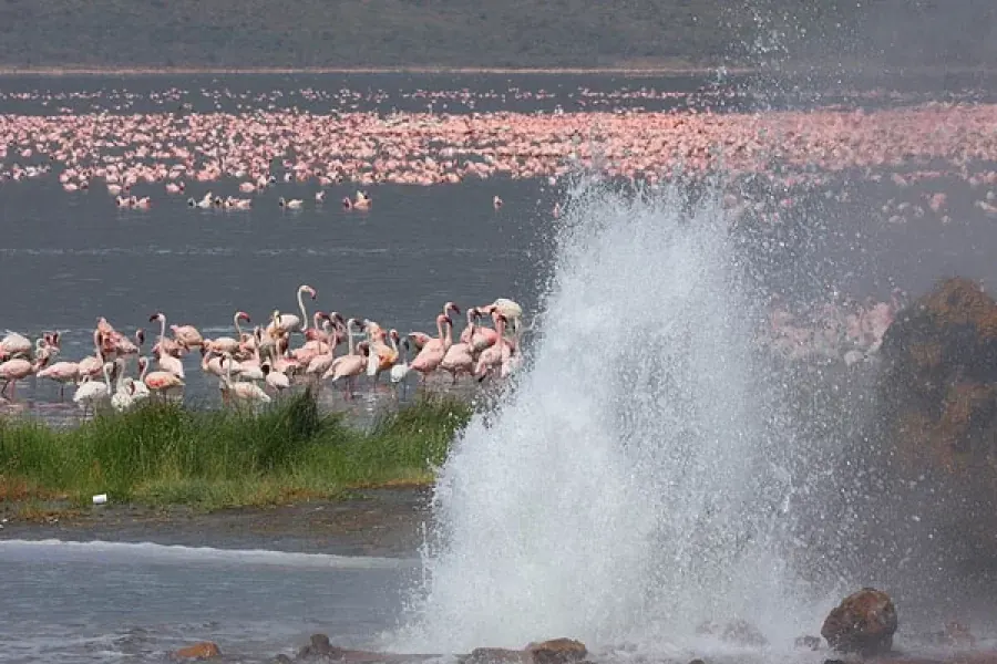 Adventure Safaris