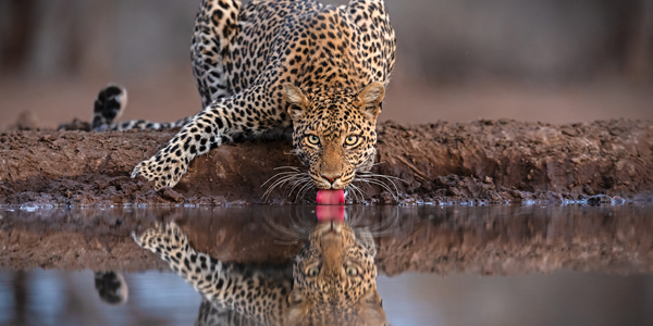 Tanzania