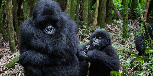 Uganda
