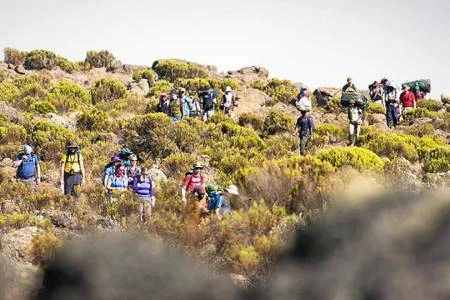 Kenya Mountain Climbing
