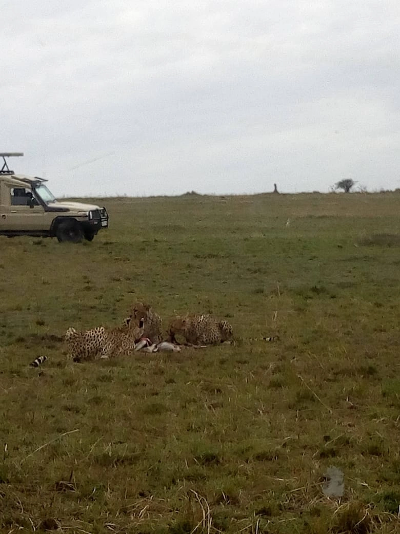 Unforgettable 3 Days Masai Mara Budget Camping Safari photo 4