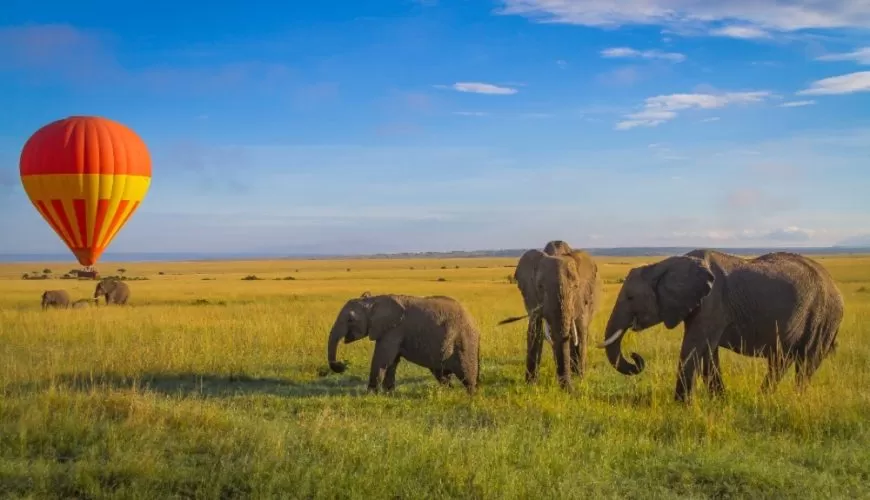 Masai Mara Safari - Discover The Magic Of Masai Mara On Your Kenya Safari