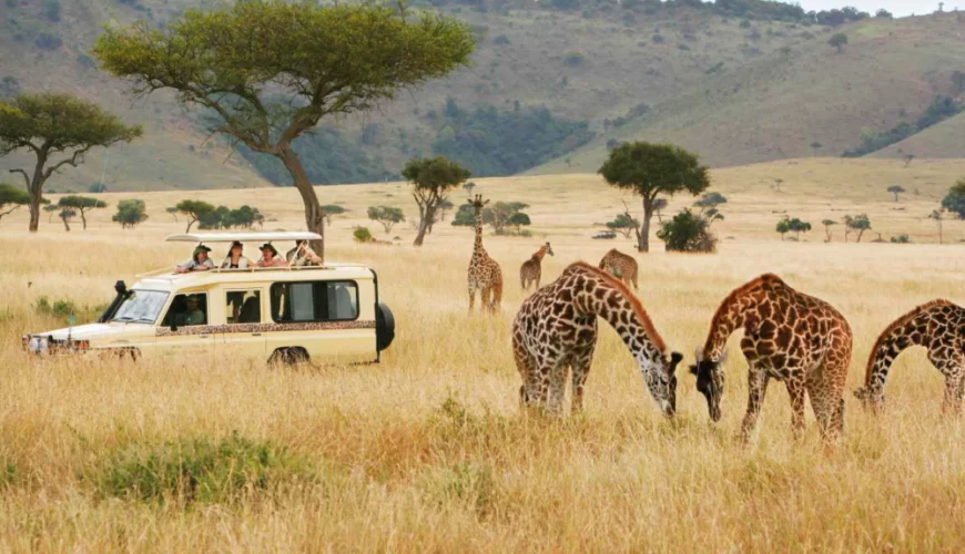 Kenya Safari Secrets - Uncovering The Beauty Of The African Savanna