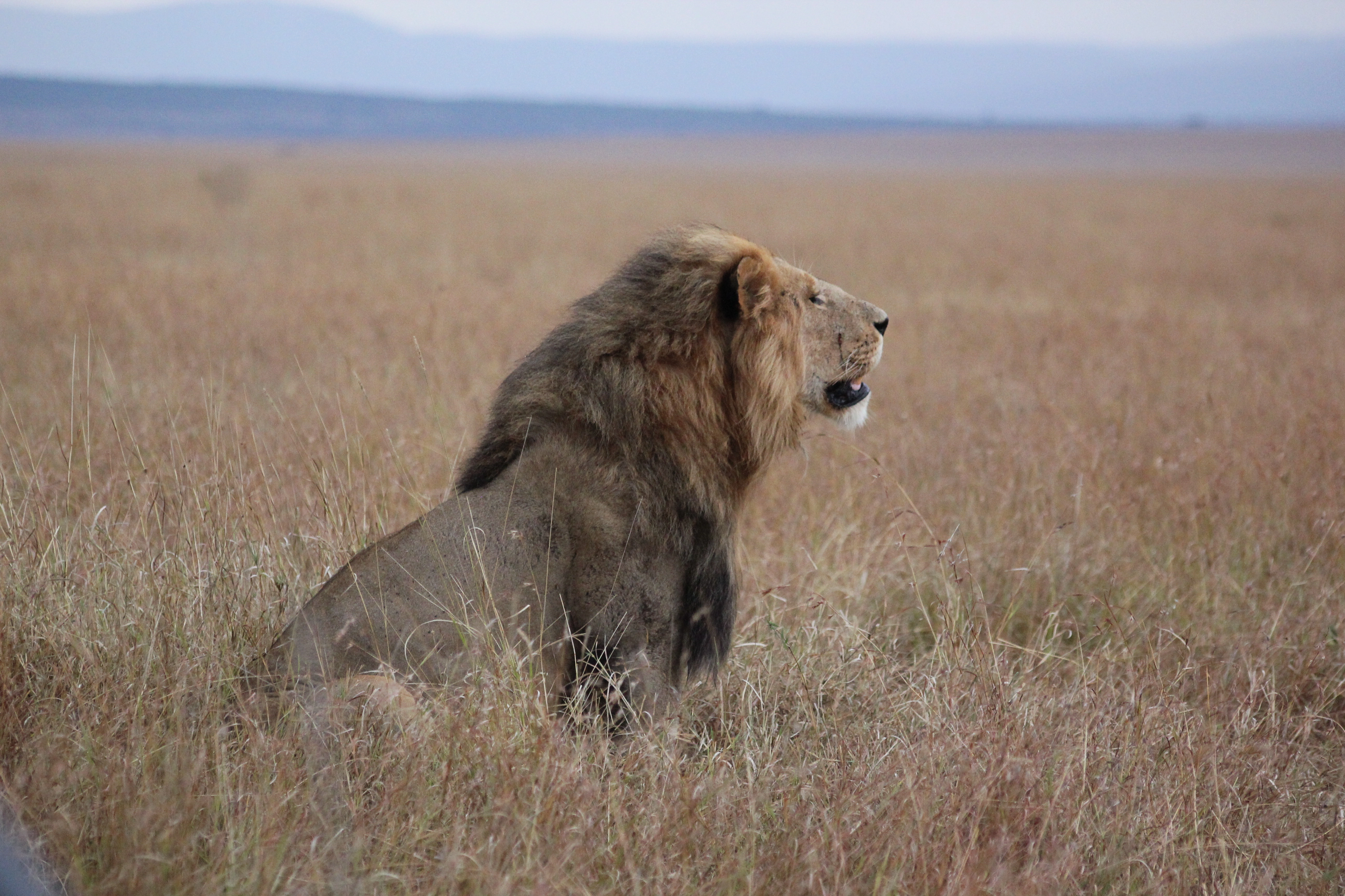 Avani Victoria Falls Package photo 2
