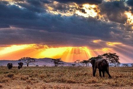 6 Days Kenya Highlight Wildlife Safari photo 4