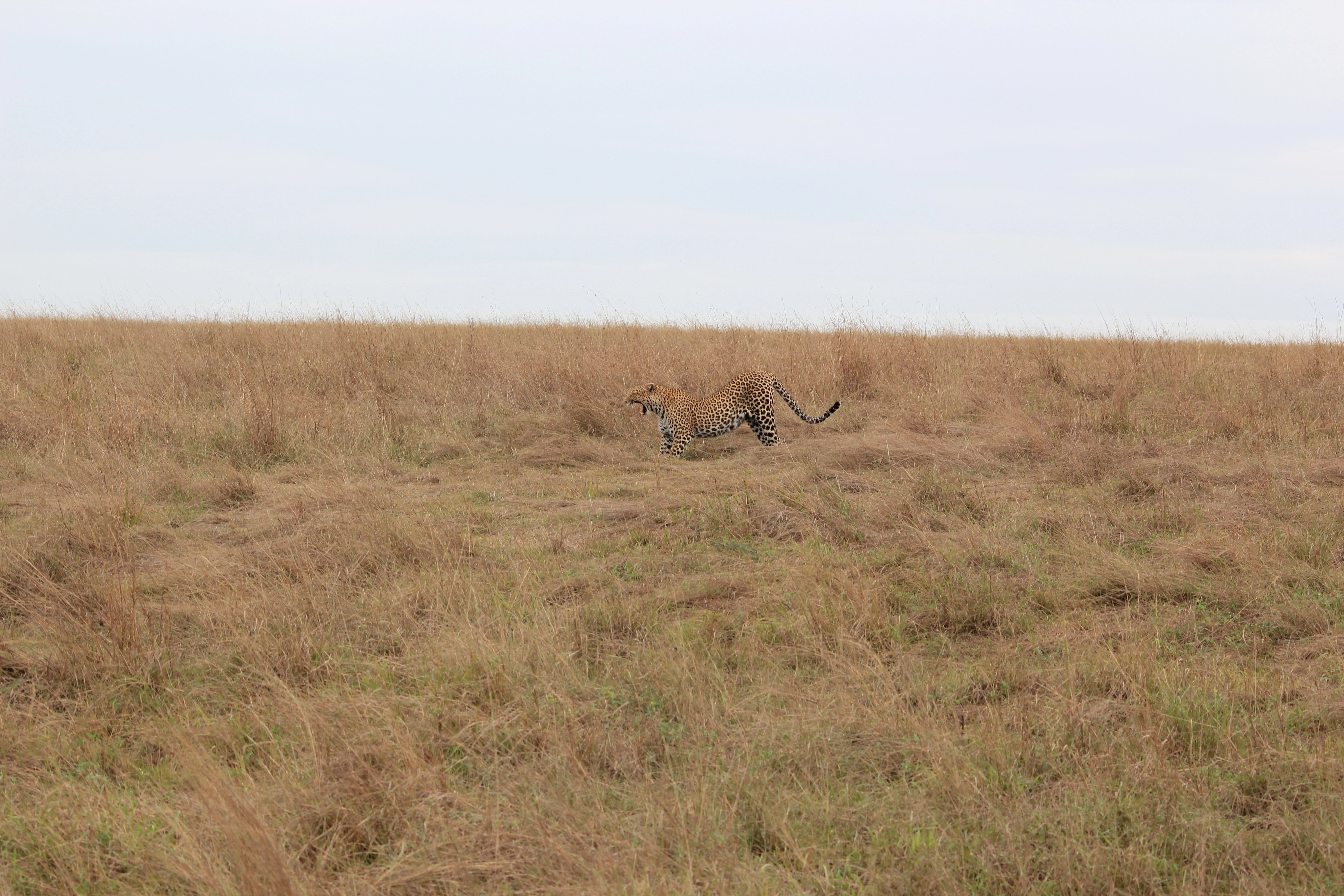 Safari Mpaka (6 Days) photo 3