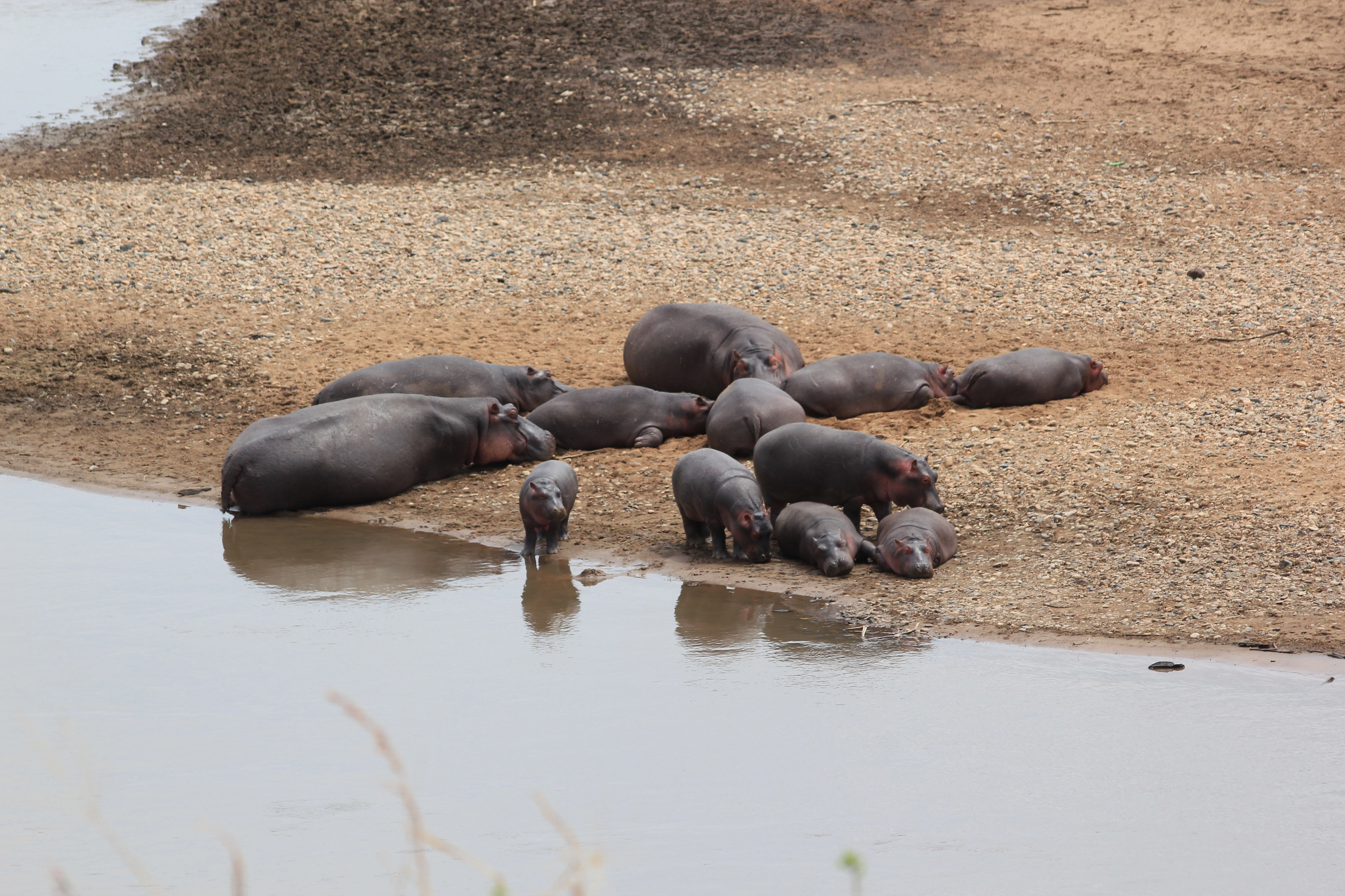 Safari Mpaka (6 Days) photo 5