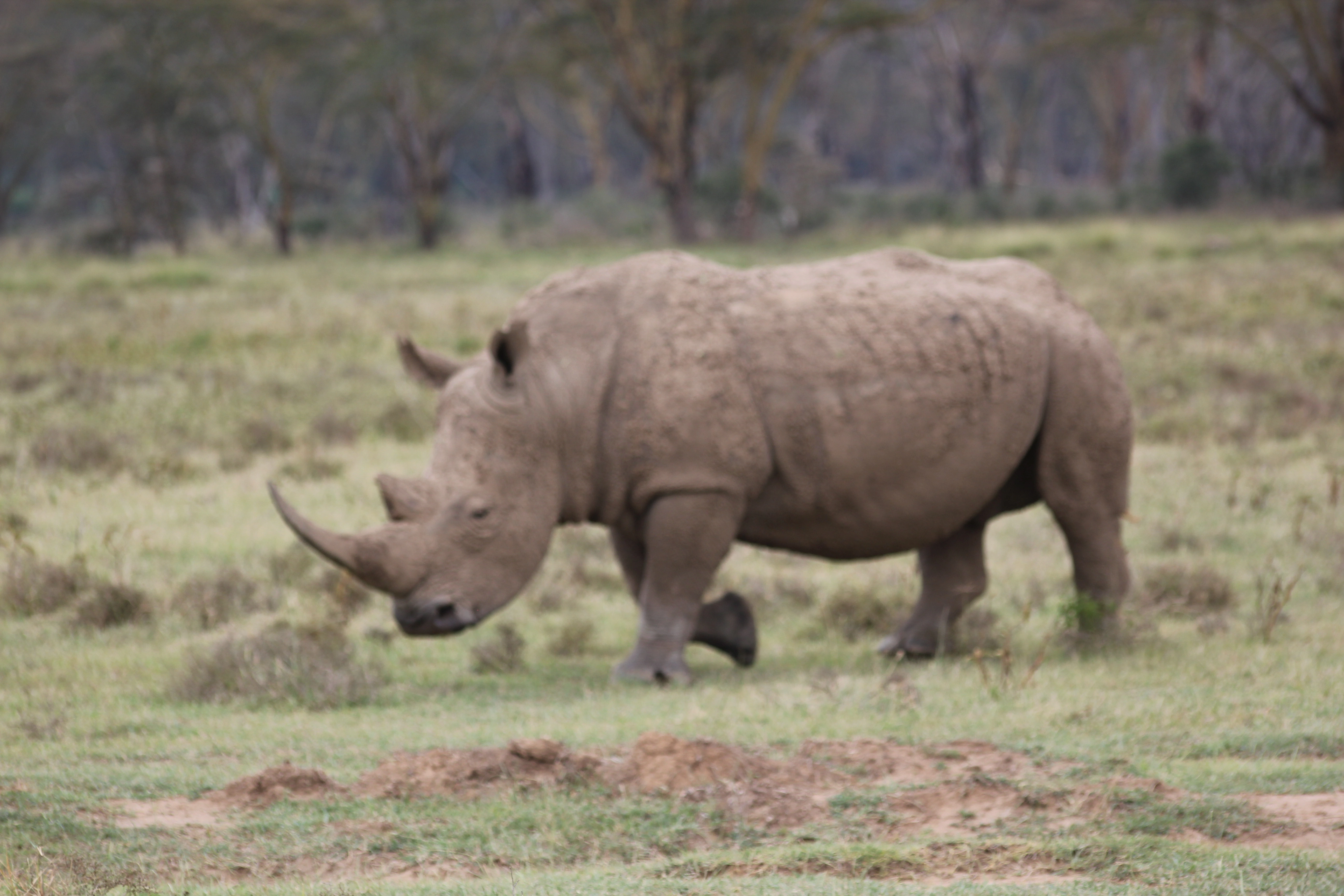 3 Days Samburu Safari photo 1