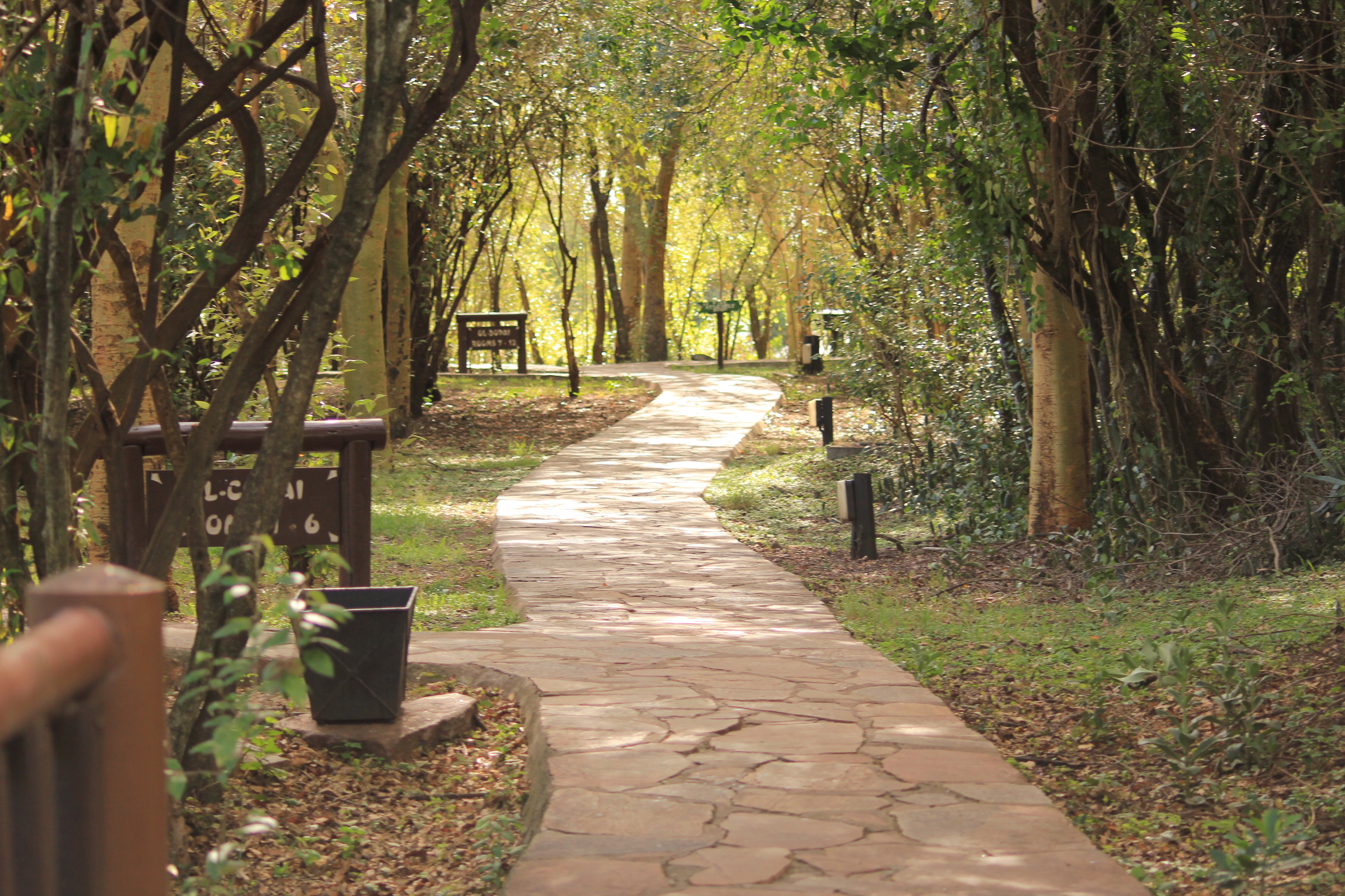 Amboseli Extension (1 Night) photo 1