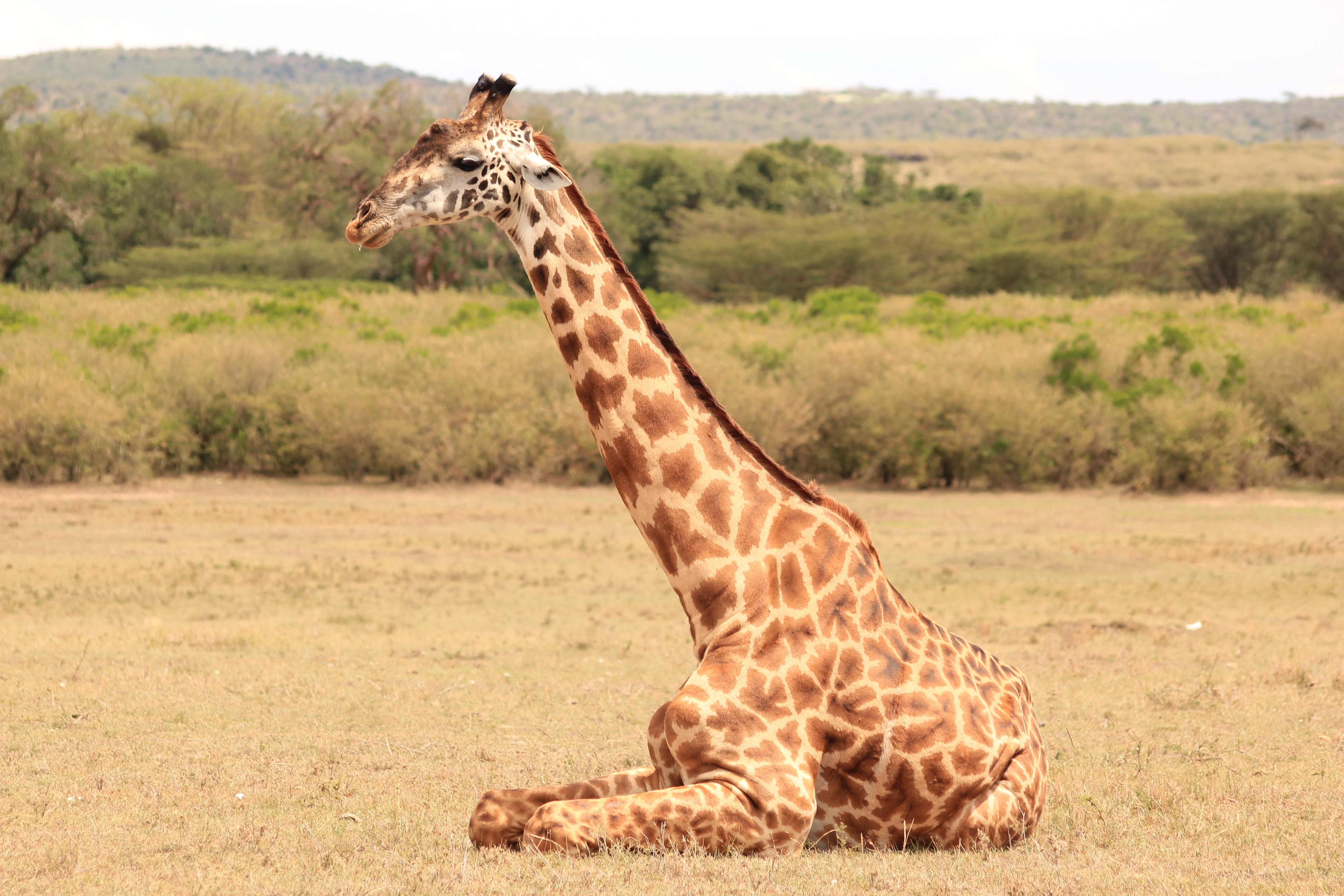 12 Days Kenya Photography Safari photo 5