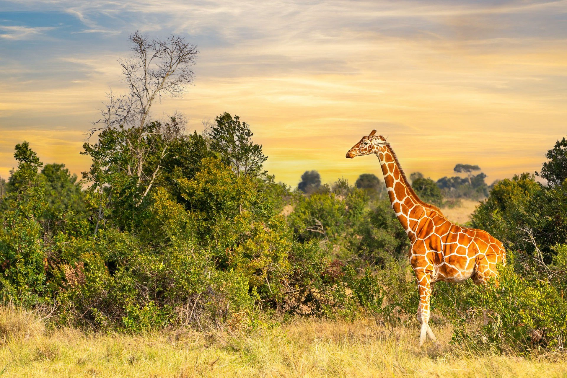 3 Days Laikipia Eco Tour photo 1