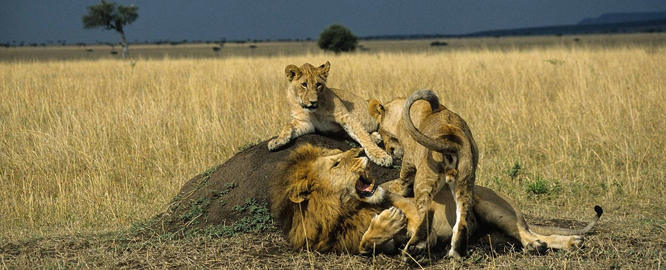 3 Days Laikipia Eco Tour photo 4