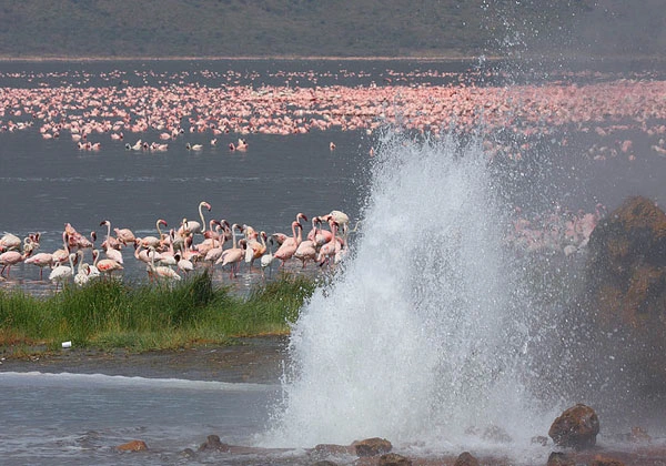 4 Days Kenya Masai Mara Budget Safari photo 5