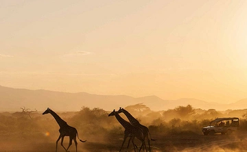 4 Days Kenya Masai Mara Budget Safari photo 1