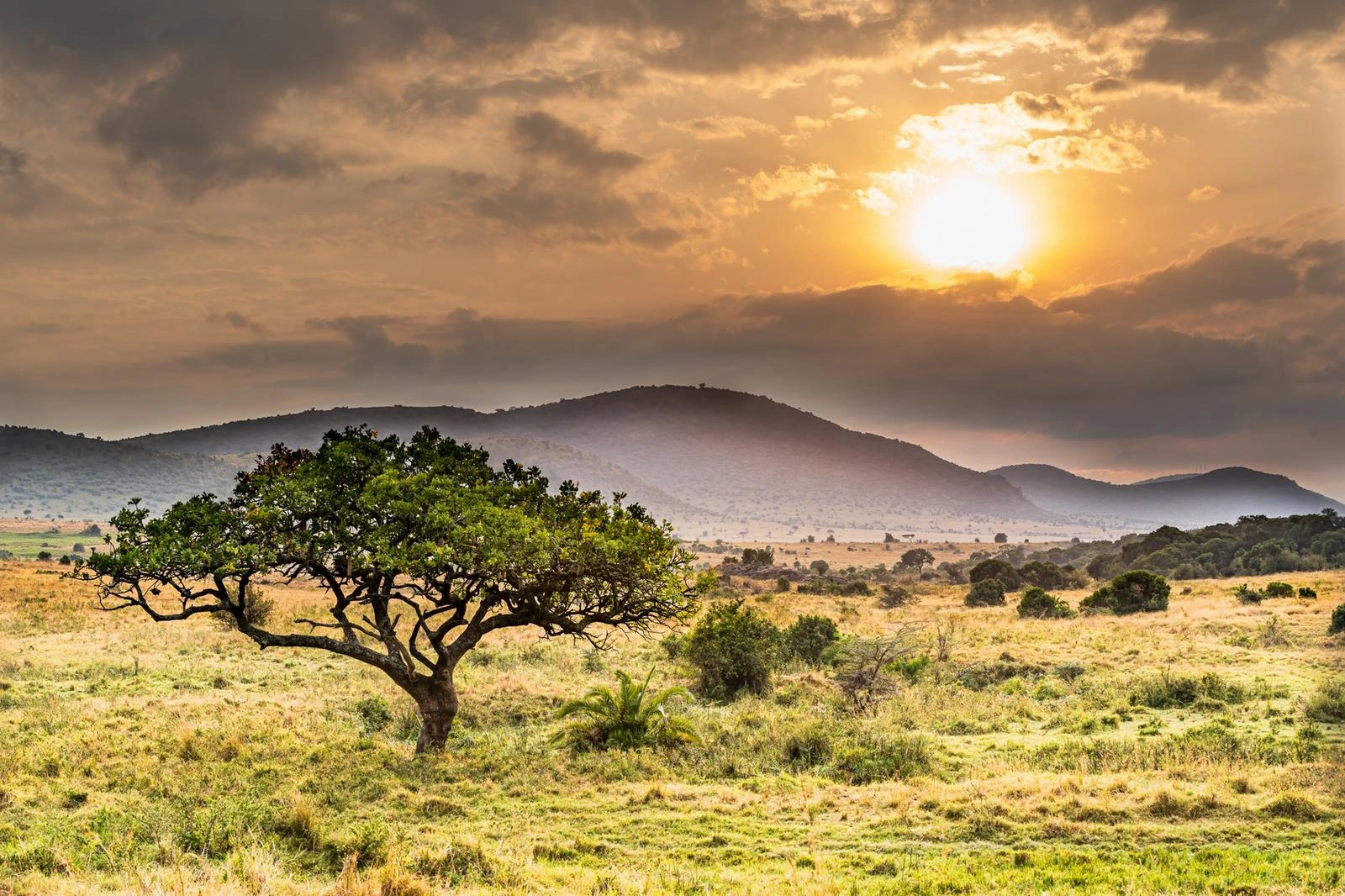 4 Days Kenya Masai Mara Budget Safari photo 2