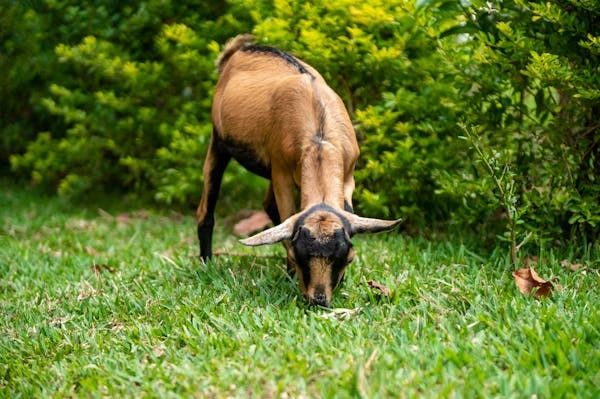7 Days Kenya Agricultural Tour Option photo 5