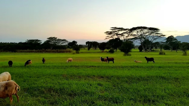 7 Days Kenya Agricultural Tour Option photo 1