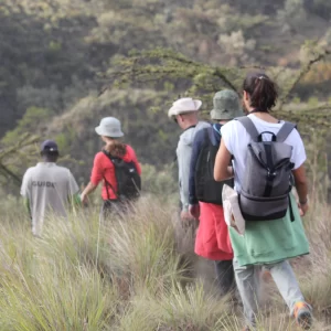 14 Days Mount Kenya Climbing & Safari photo 2