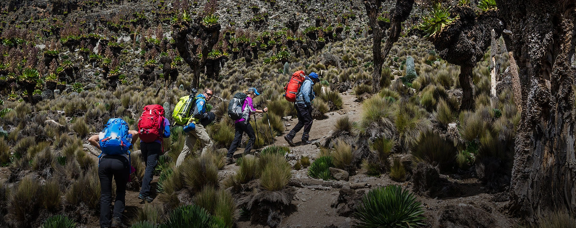 14 Days Mount Kenya Climbing & Safari photo 5