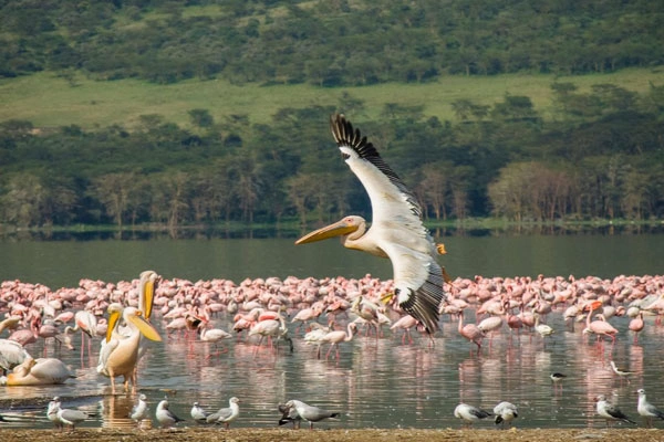 7 Days Great Rift Valley Bike Trek photo 2