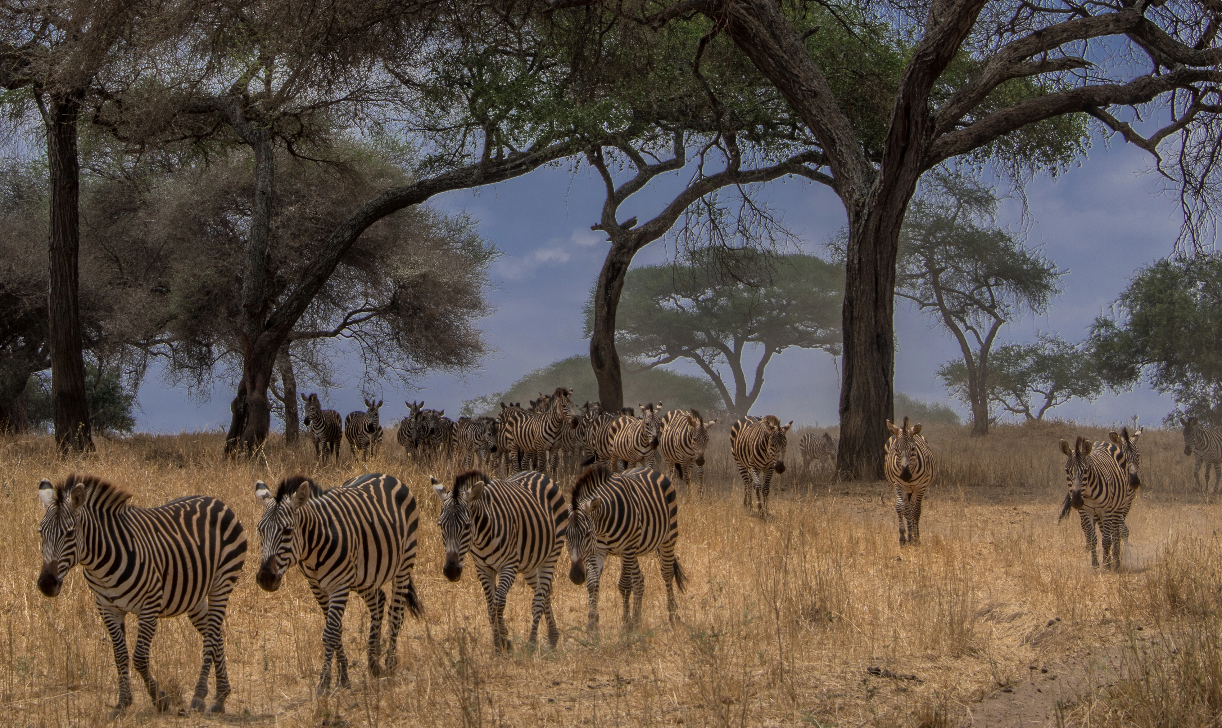 8 Days Across Kenya Safari photo 5