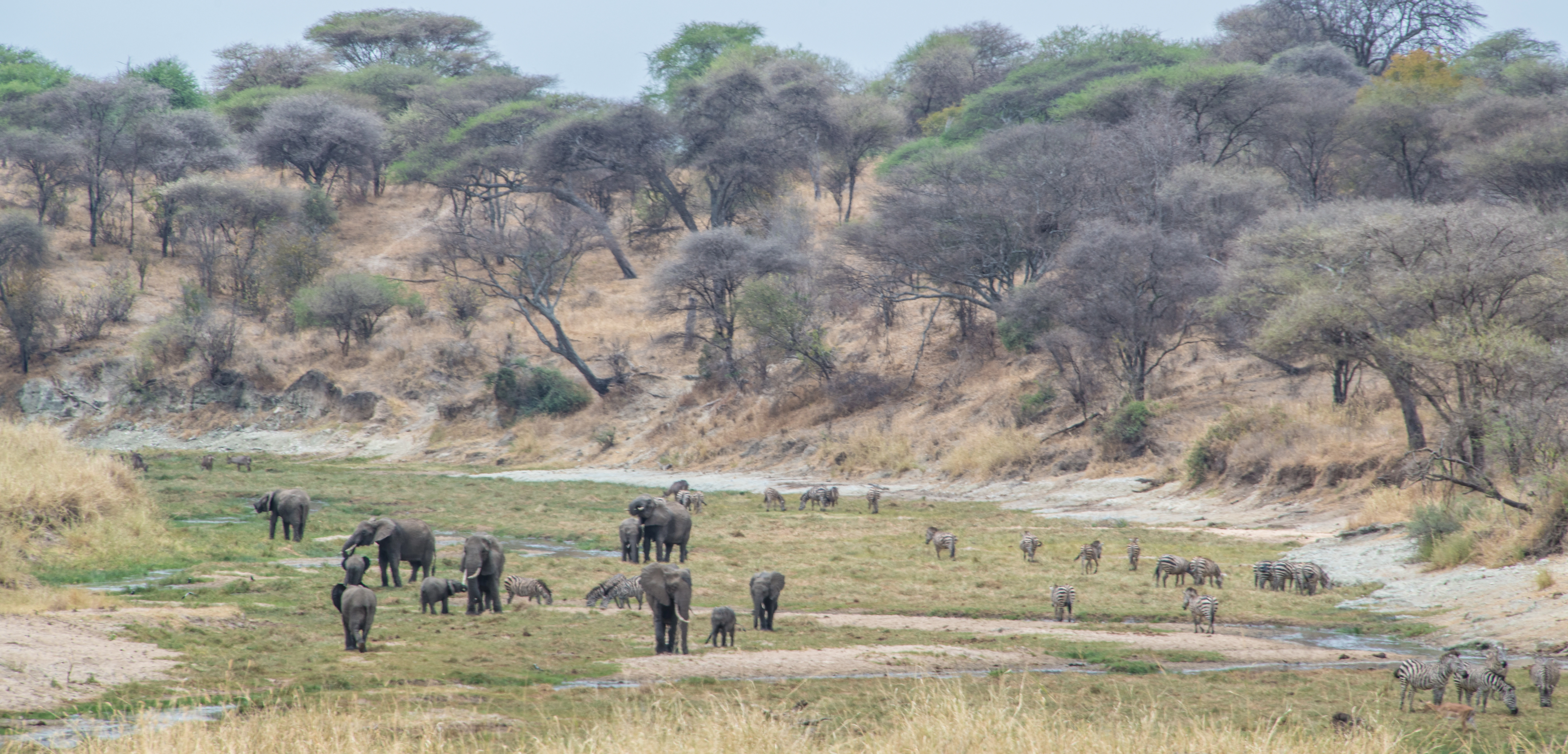8 Days Across Kenya Safari photo 2