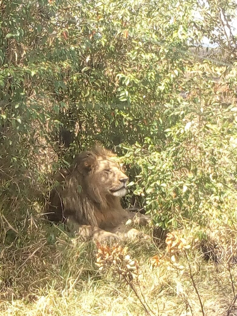 Safari Sabuk (8 Days) photo 5
