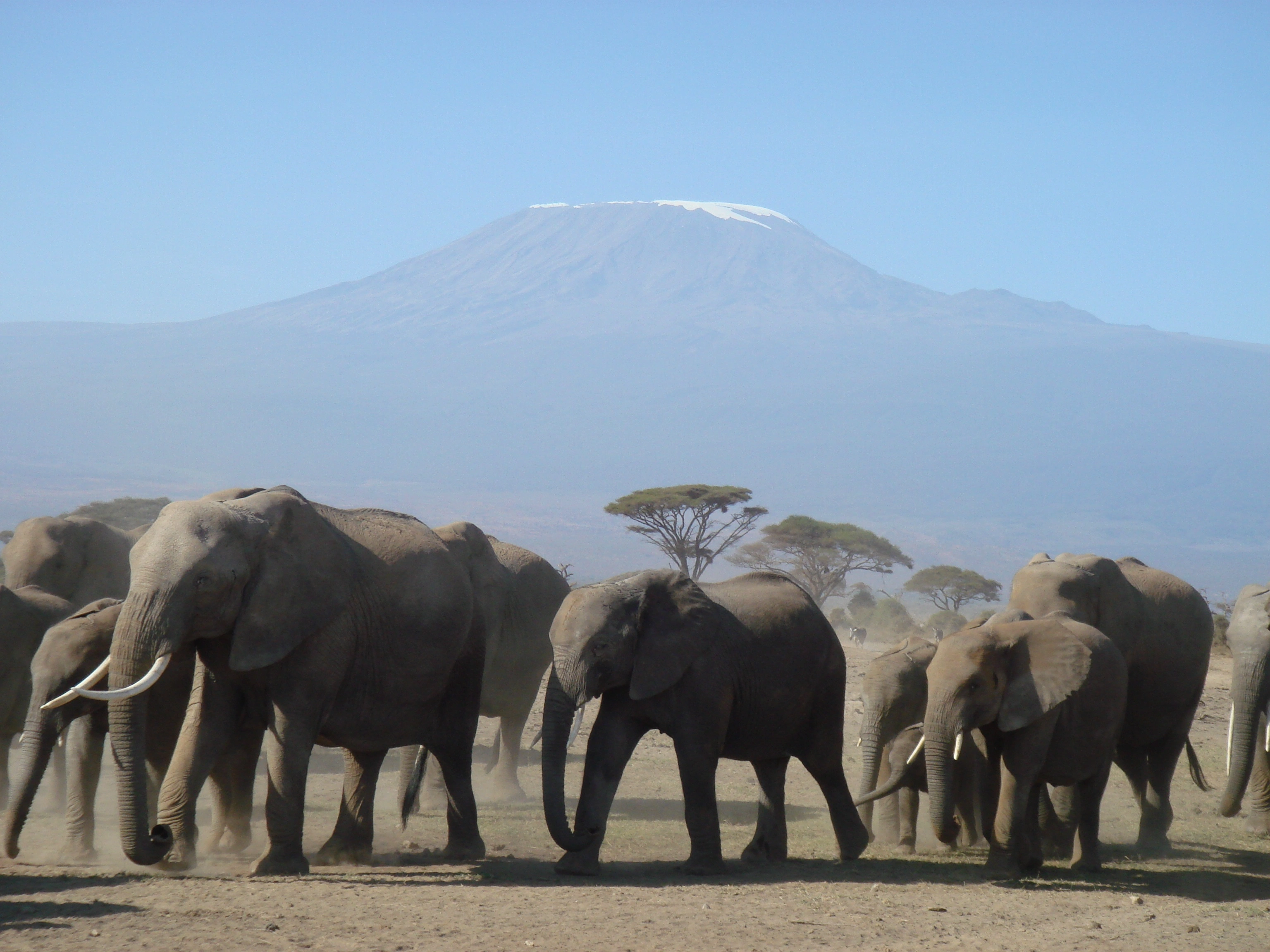 Safari Shaba (9 Days) photo 6