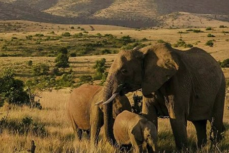 8 Days Samburu, Lake Baringo,& Maasai Mara Safari photo 2