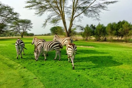 8 Days Samburu, Lake Baringo,& Maasai Mara Safari photo 5
