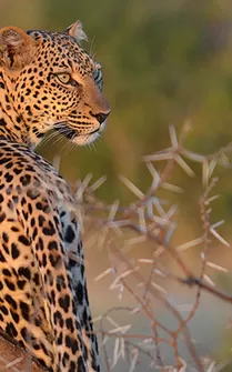 6 Days Great Rift Valley Maasai Mara Safari photo 3