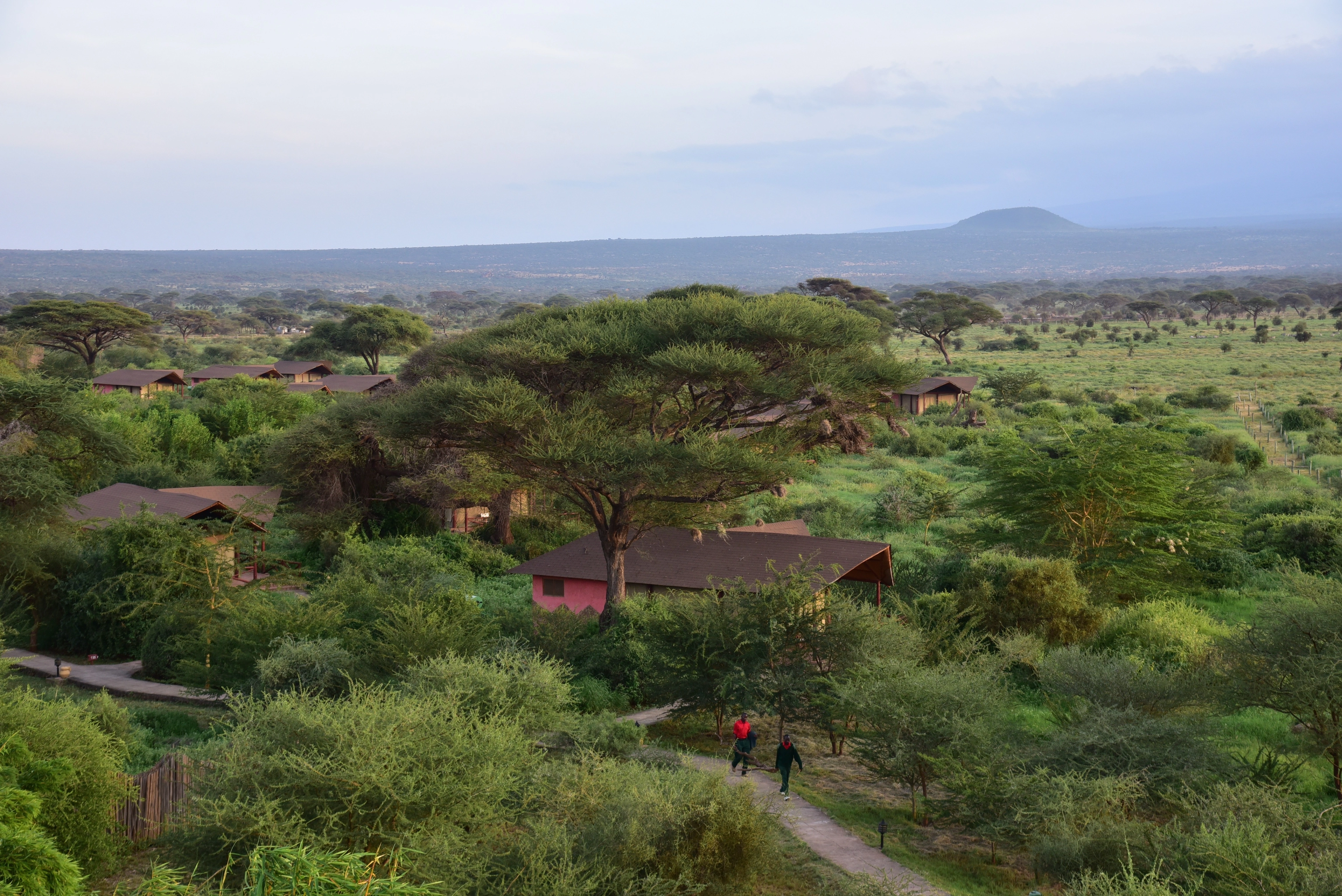 3 Days Amboseli National Park Safari photo 4