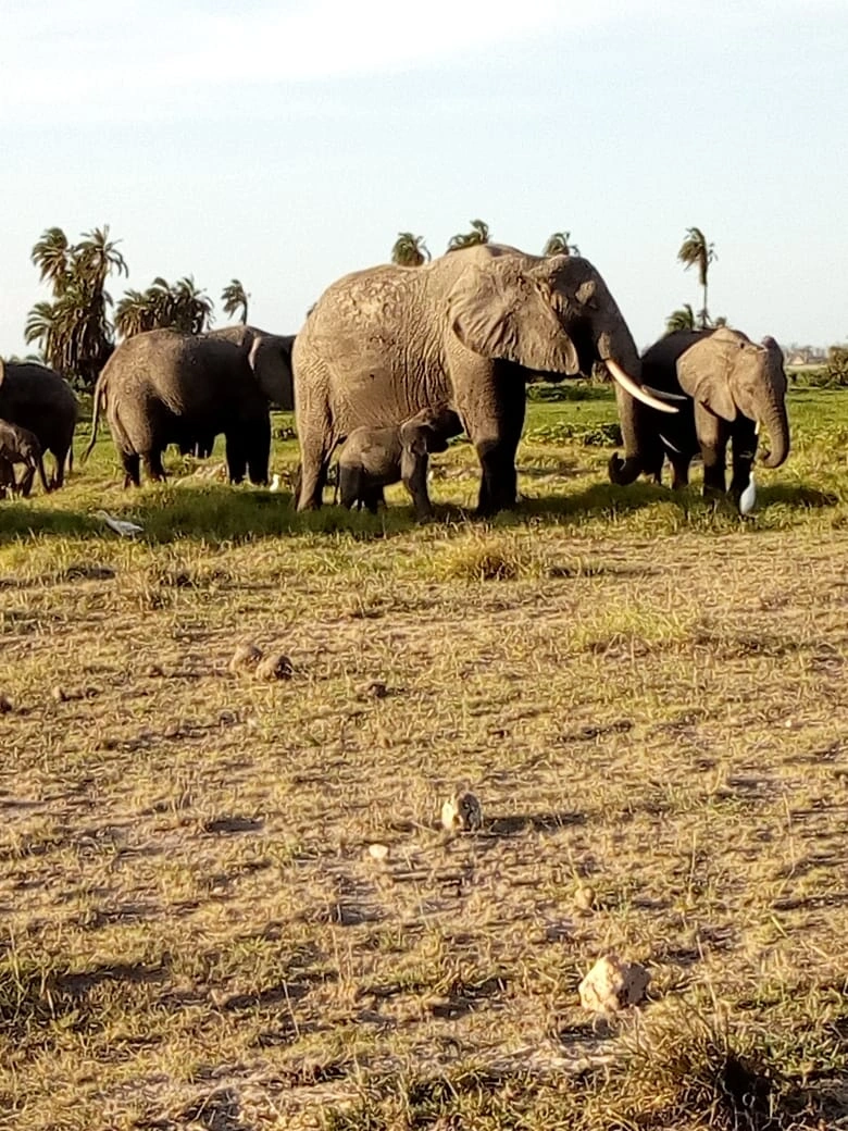 8 Days Kenya Great Lakes Safari photo 4