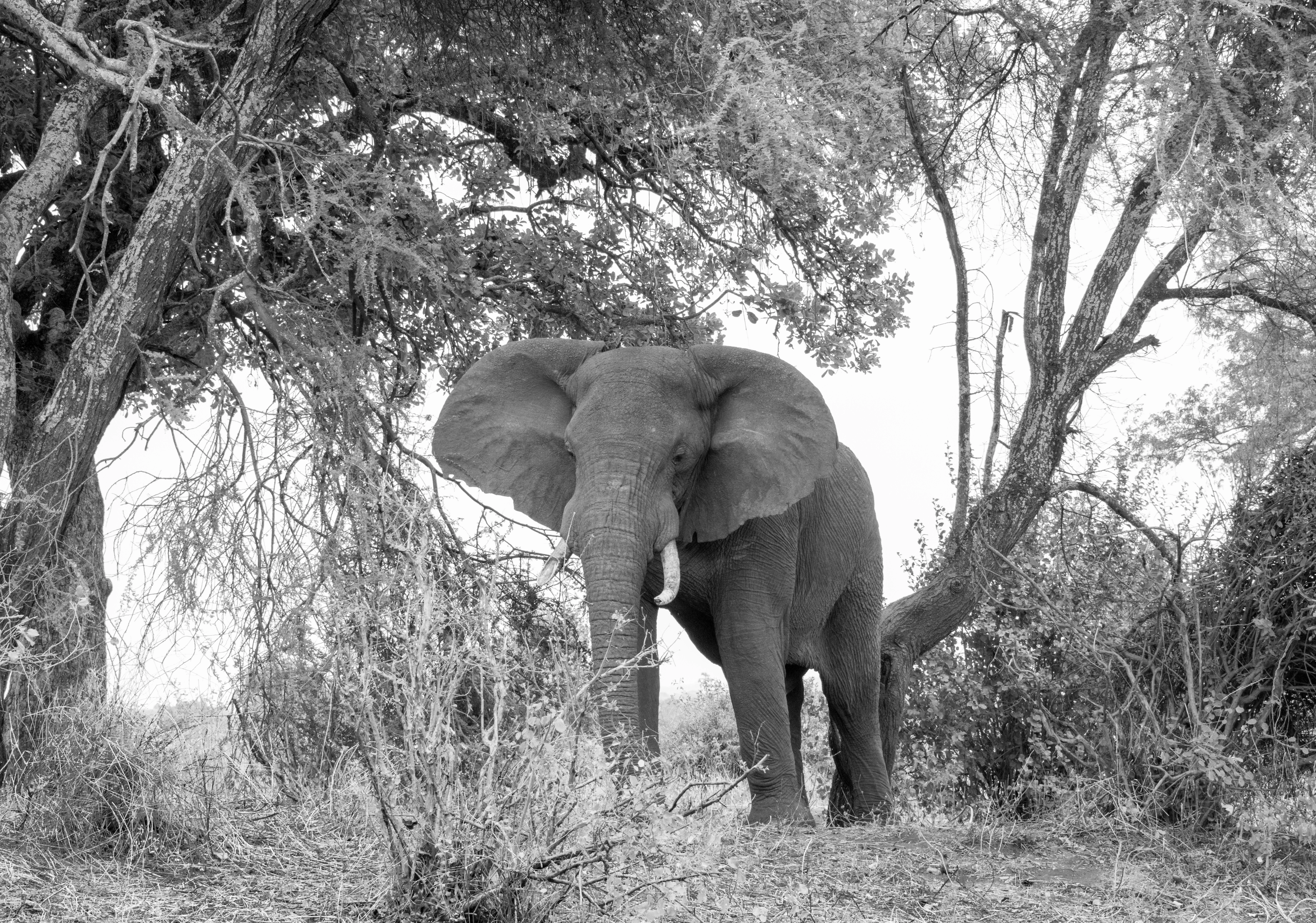 Safari Enkop Africa (9 Days) photo 5