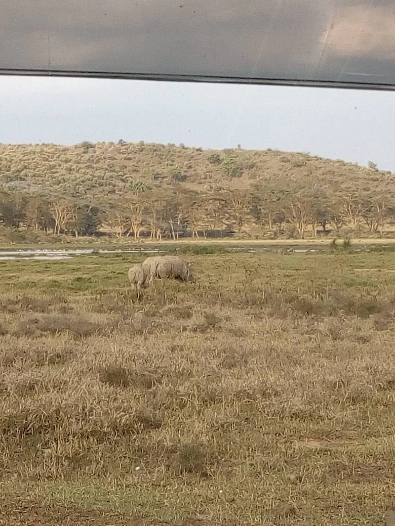 Safari Enkop Africa (9 Days) photo 4