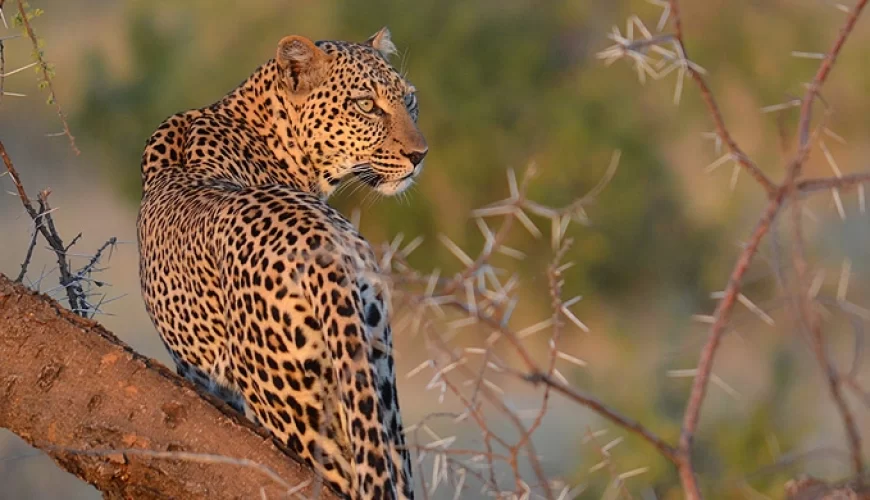 3 Days Laikipia Eco Tour