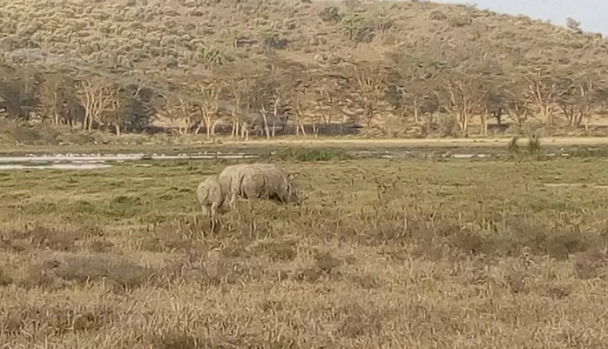 8 Days Across Kenya Safari