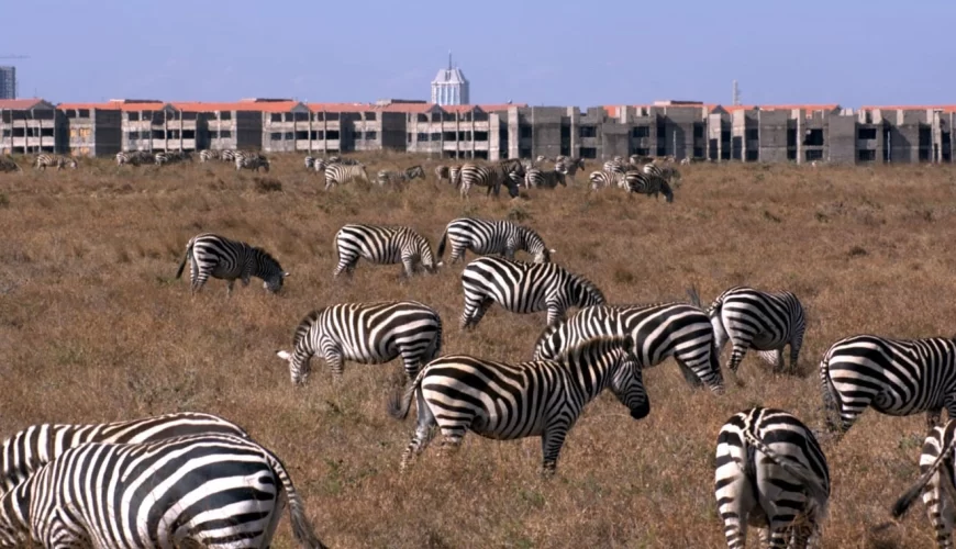 Nairobi National Park