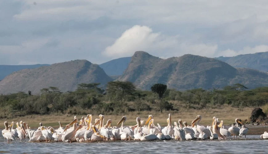 Lake Elementaita Wildlife Sanctuary