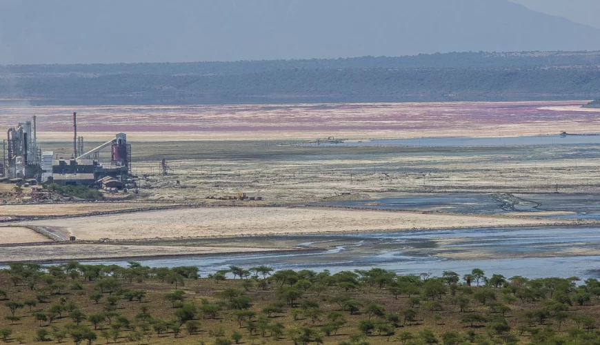 Lake Magadi
