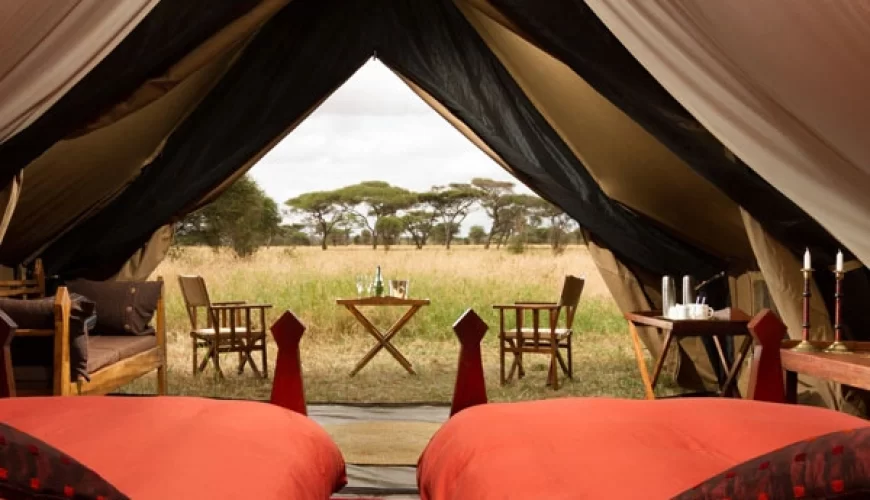 Wildlife Explorer Camp