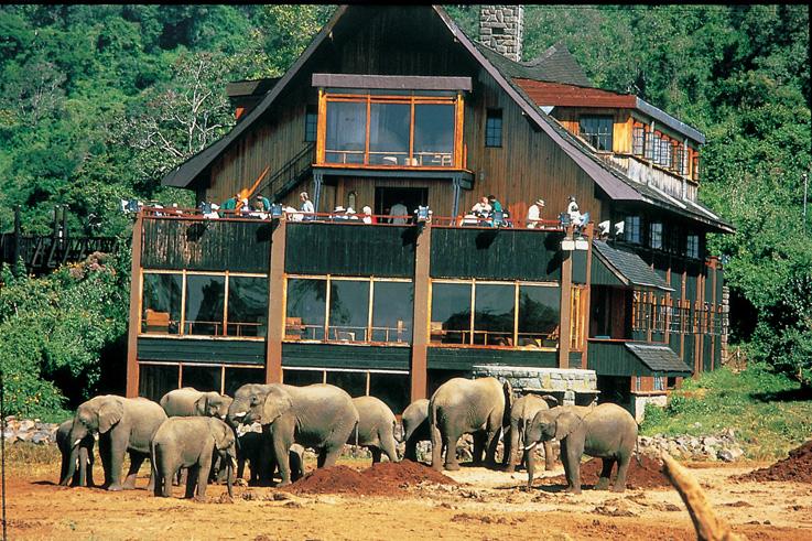 Treetop Lodge image 3