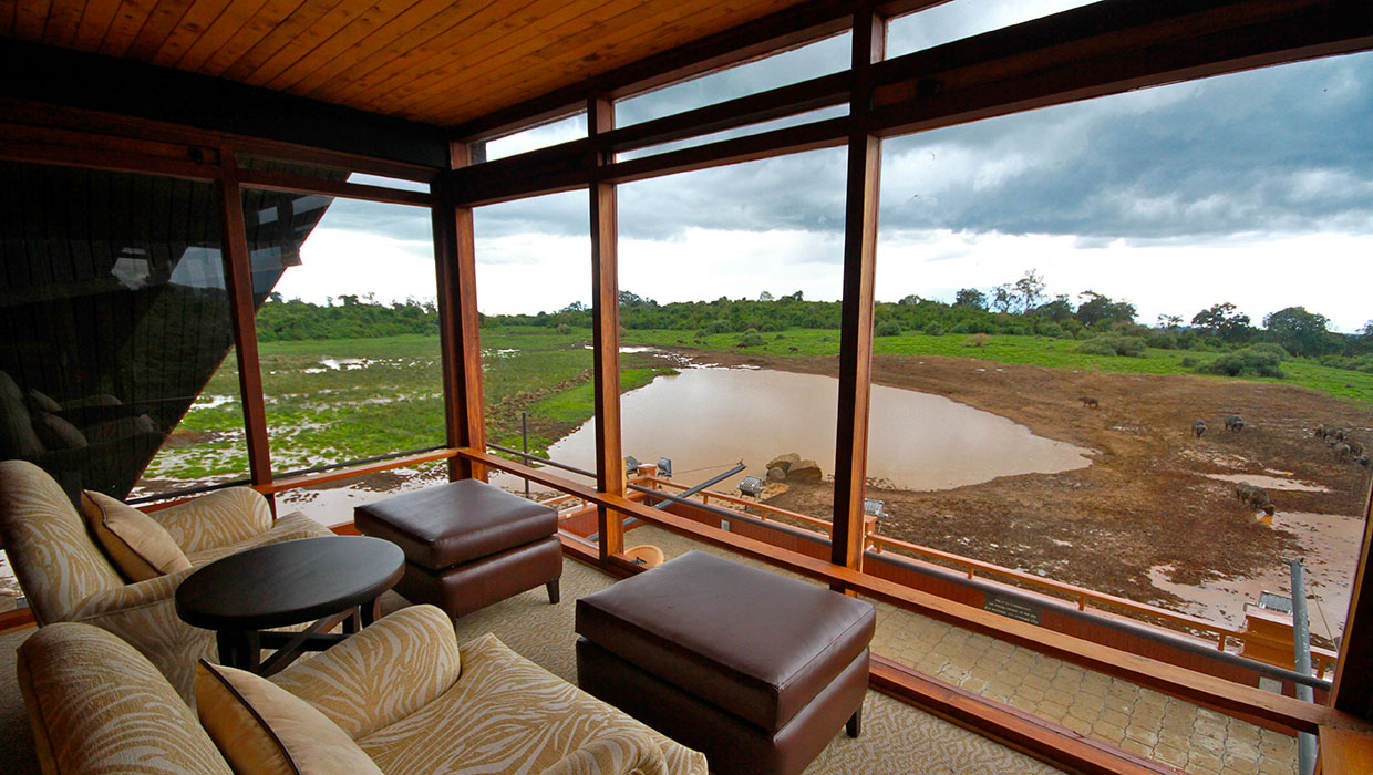 The Ark Lodge image 3