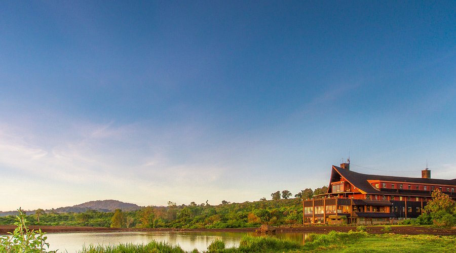 The Ark Lodge image 1