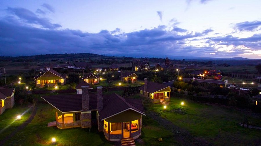 Giraffe Ark Game Lodge image 1