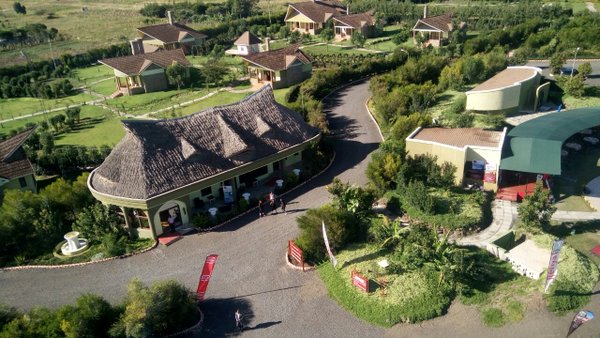 Giraffe Ark Game Lodge image 3