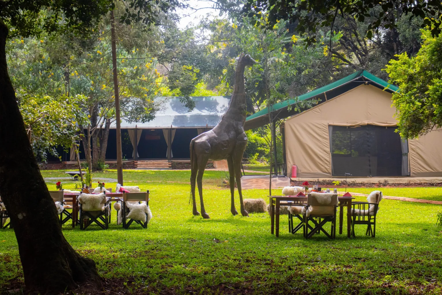 Nairobi Tented Camp image 1