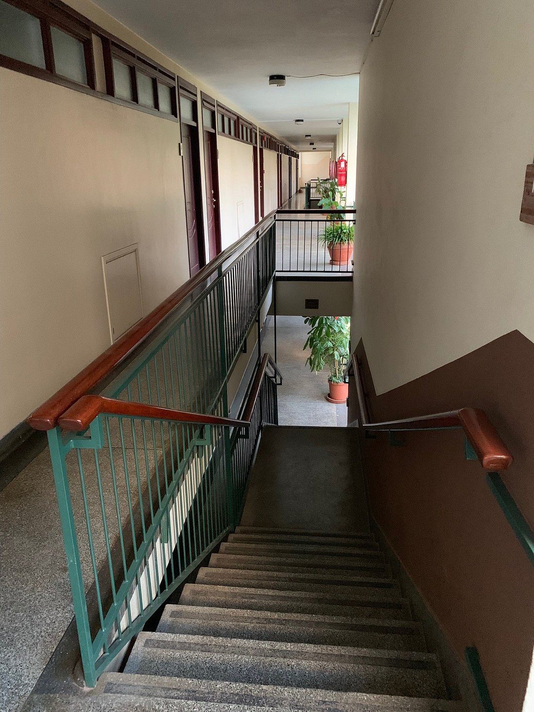 Jacaranda Hotel image 3