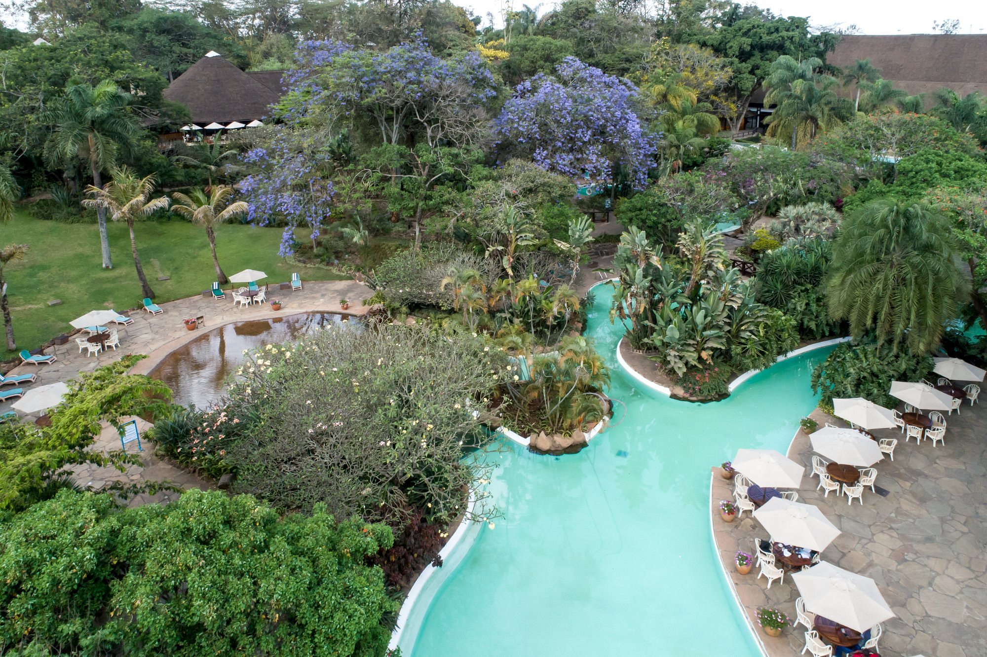 Safari Park Hotel image 2