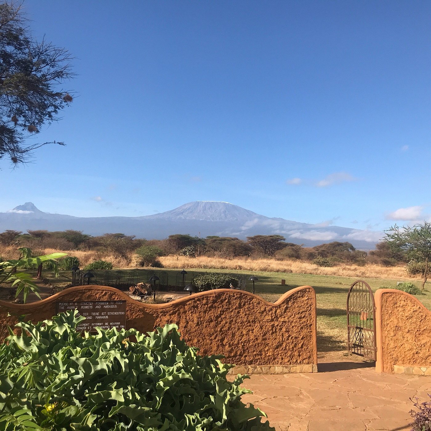 Amboseli Sopa Lodge image 3